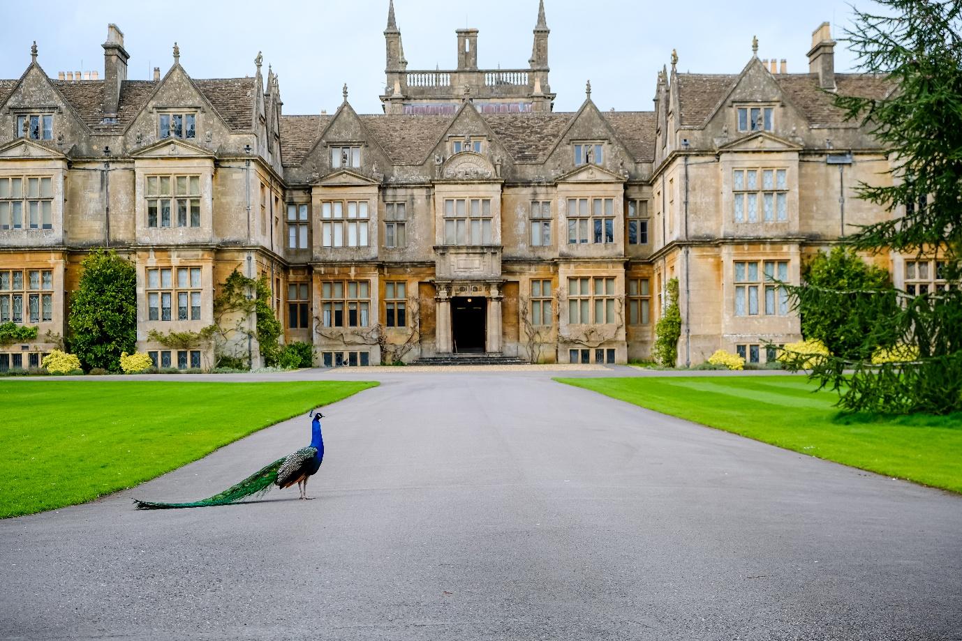 Live-in care in Corsham